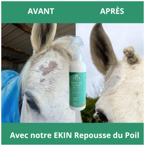 REPOUSSE DU POIL EKIN REPOUSSE DU POIL EKIN
