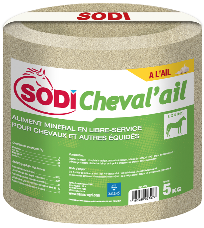 SODI CHEVAL AIL Pierre de sel complémentée à l'ail 5 kg