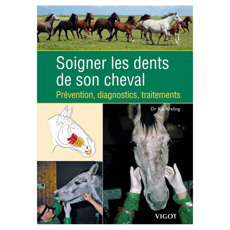 Soigner les dents de son cheval