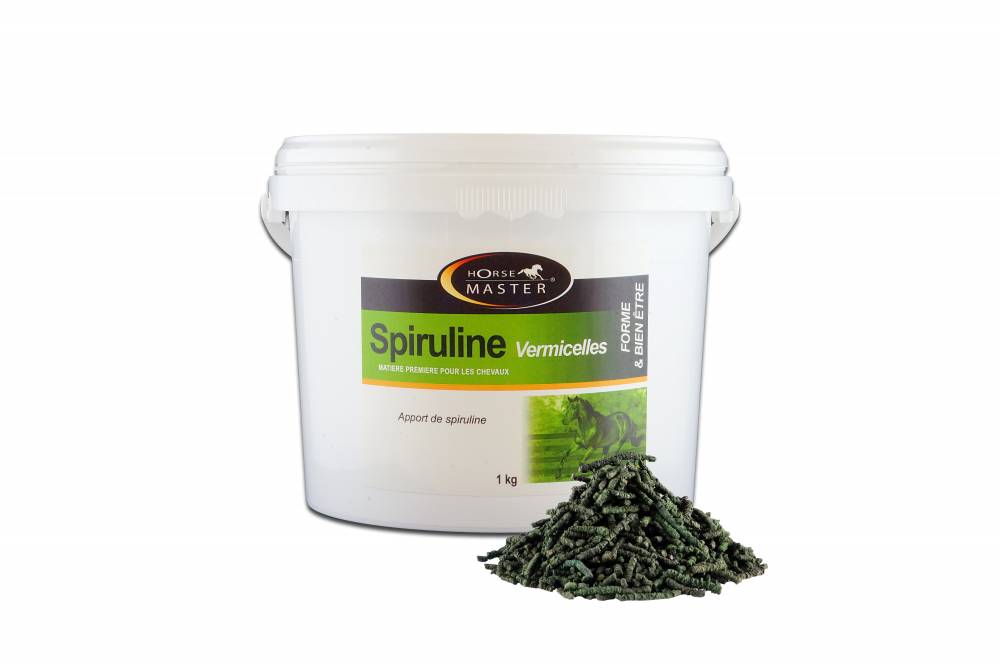 SPIRULINE VERMICELLES 1 kg