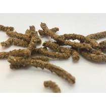 STOMACH Probiotique Chevaux
