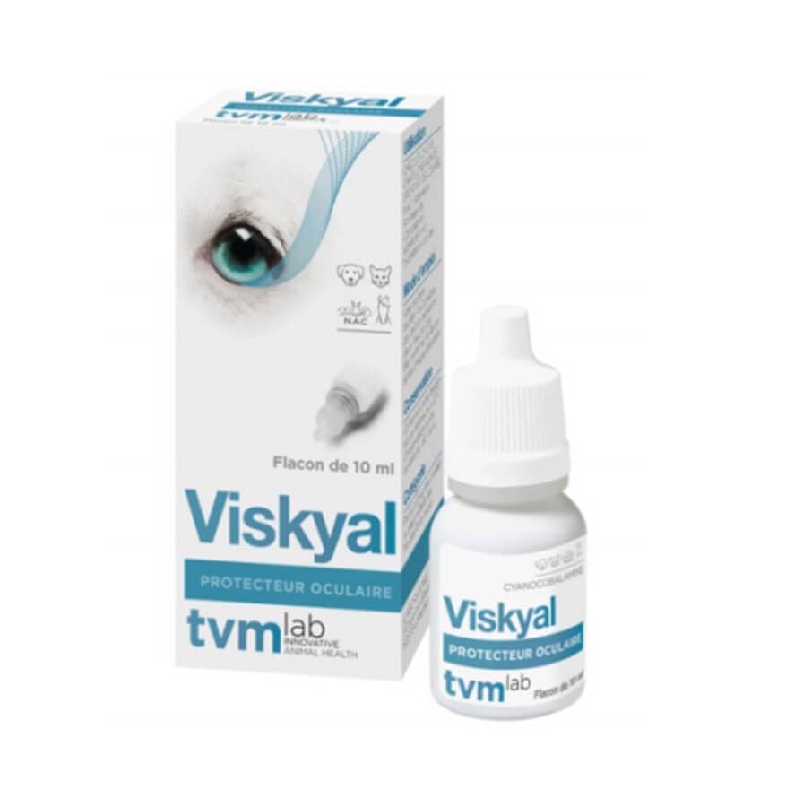 VISKYAL Collyre 10 ml