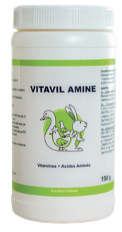 VITAVIL AMINE - Vitamines et acides aminés