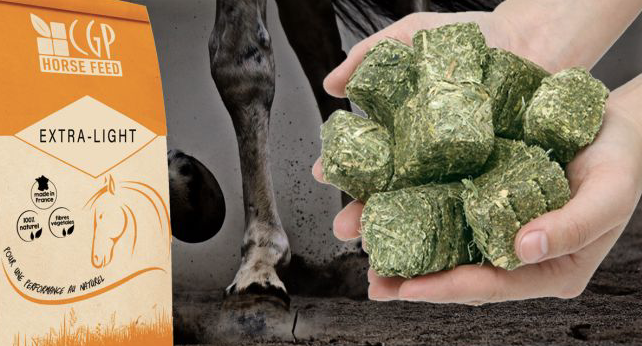 WAFER FIBRES EXTRA LIGHT Cubes de foin pour chevaux