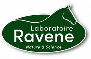 RAVENE